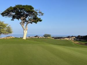 Kukio 8th Tree Green